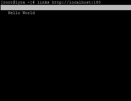 Accessing web service using links from the links bash terminal