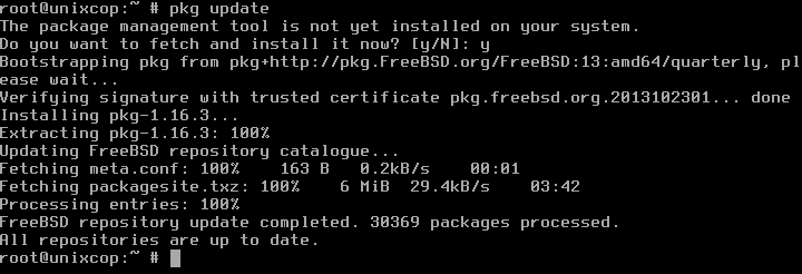 Scripts pkg. FREEBSD как установить pkg. Pkg-config logo.