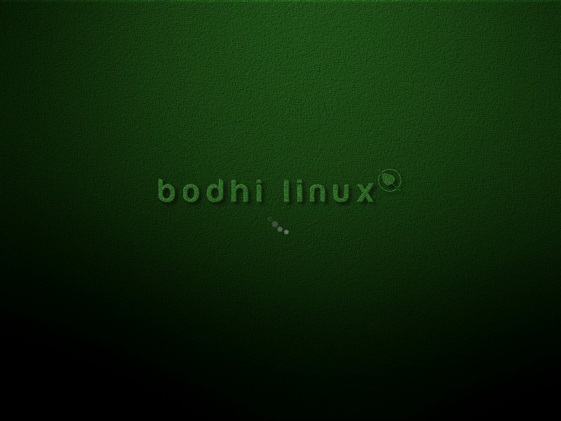 Install bodhi linux