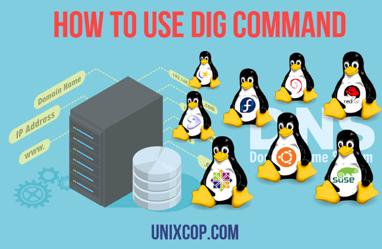 dig-command