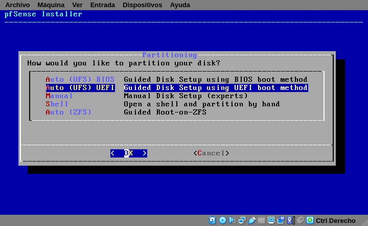 partition your disks. Choose automatic