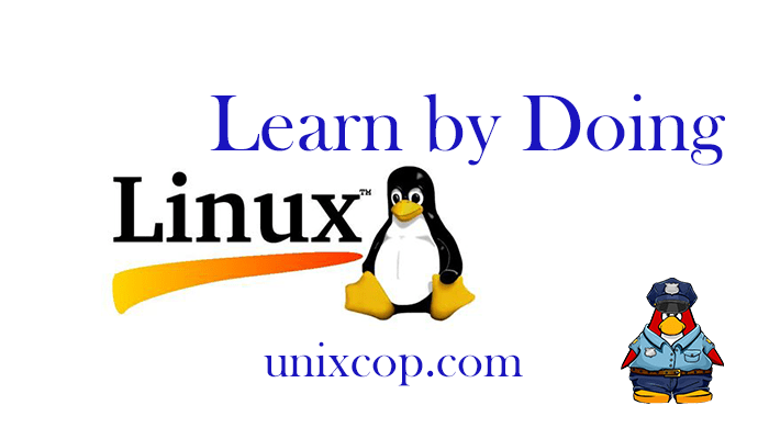 Learning by Doing with Linux