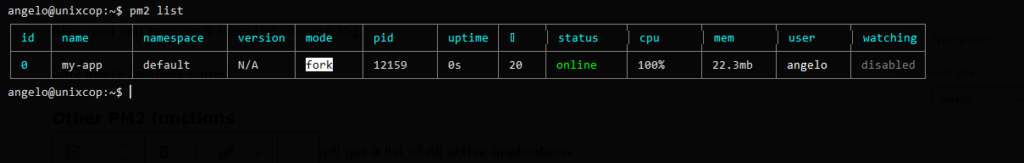 Using PM2