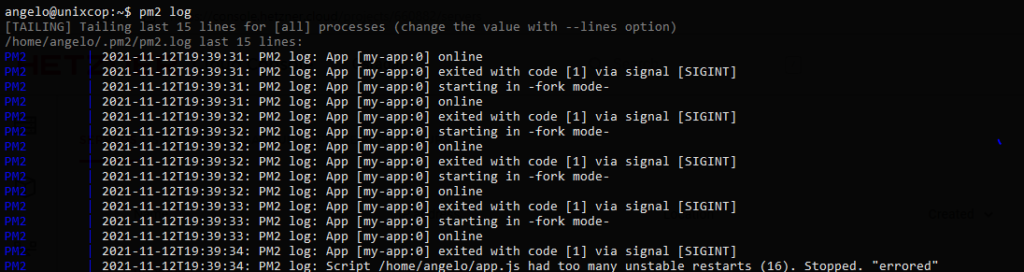 3.- Logs from the nodejs app using PM2