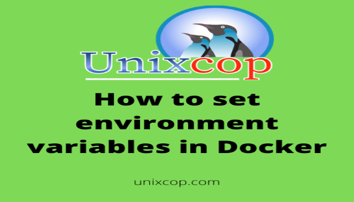 How To Set Environment Variables In Docker Unix Linux The Admins Tutorials