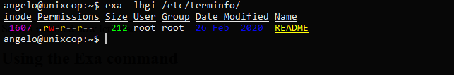 5.- Exa command