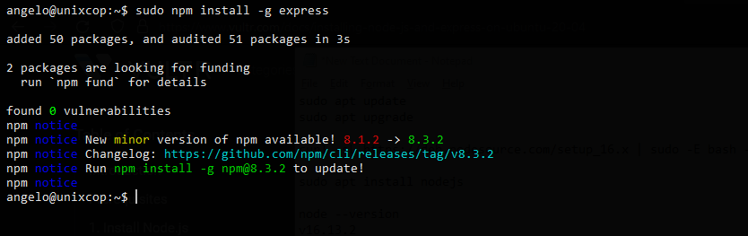 1.- Install ExpressJS on Debian 11
