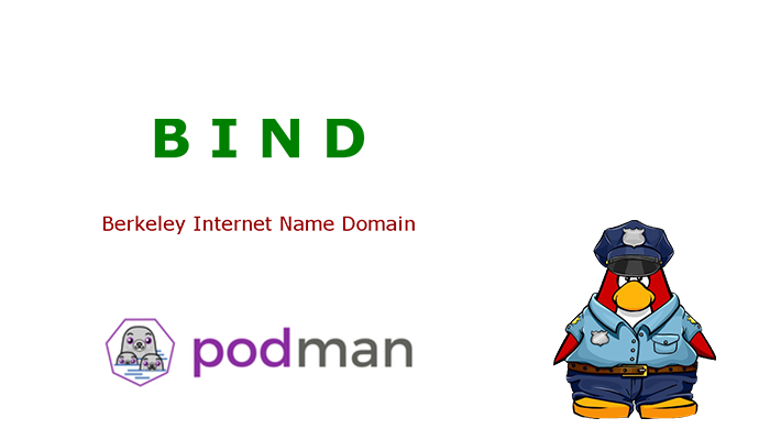 1 DNS server container Podman dirty easy