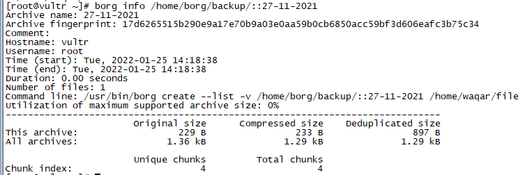 Backup And Restore files using Borg