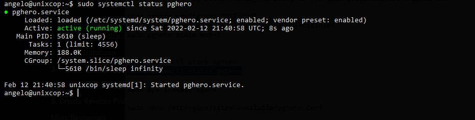 3.- PgHero service status