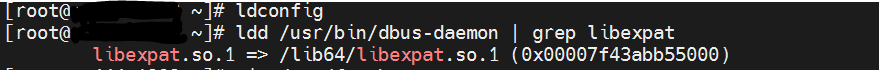 dbus daemon fails with undefined symbol