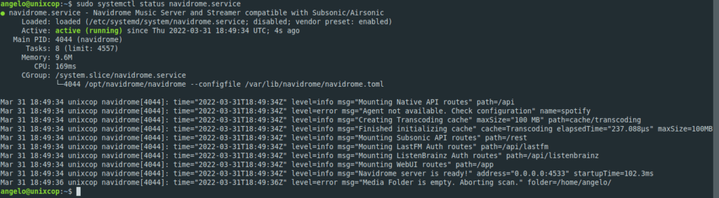 2.- Navidrome service status