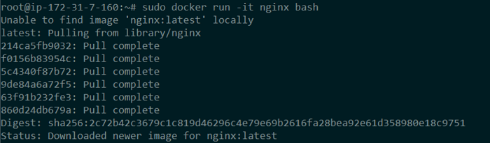 docker container backup