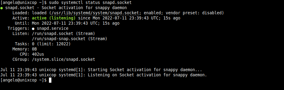 Snap service status