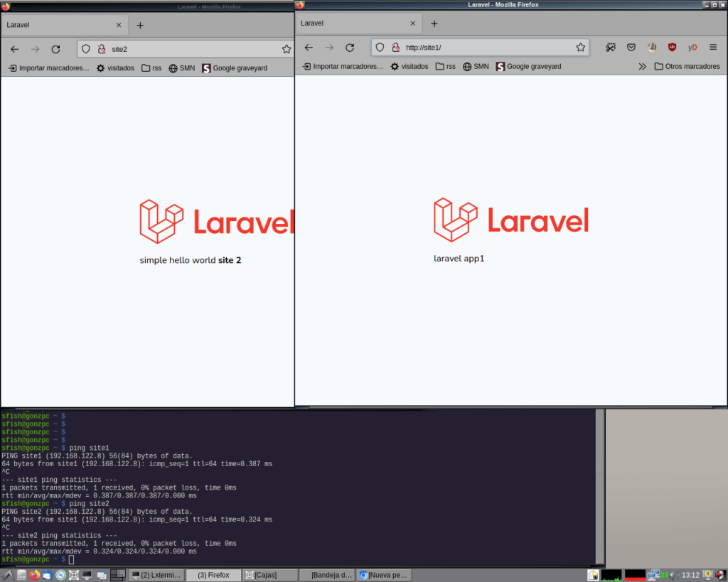 more than one Laravel on the same server