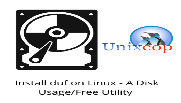Install duf on Linux - A Disk UsageFree Utility
