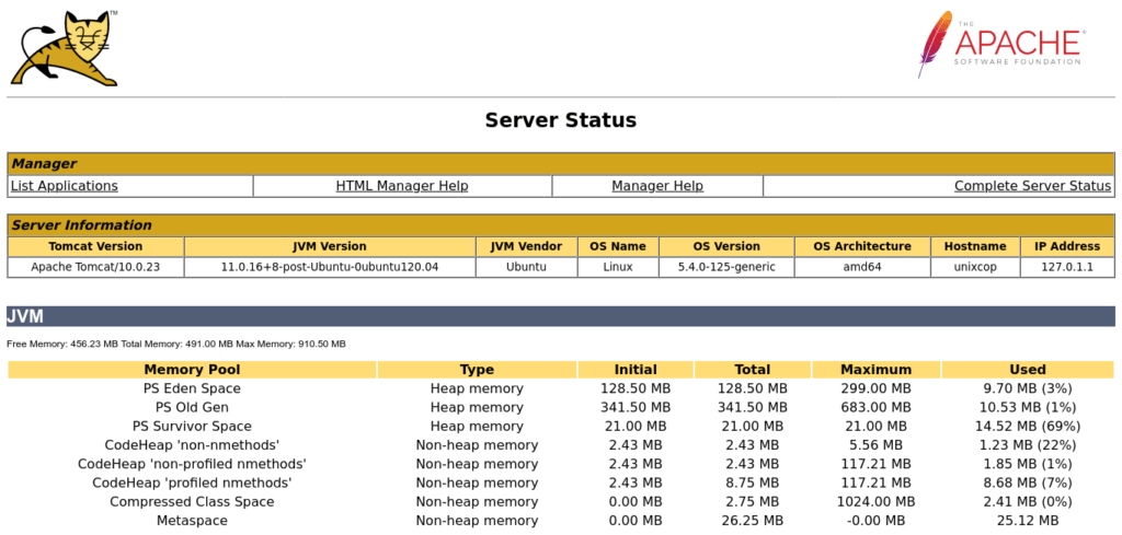 Tomcat admin panel - Server status