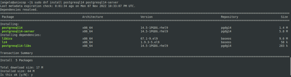 Install PostgreSQL on Rocky Linux 9 / Alma Linux 9