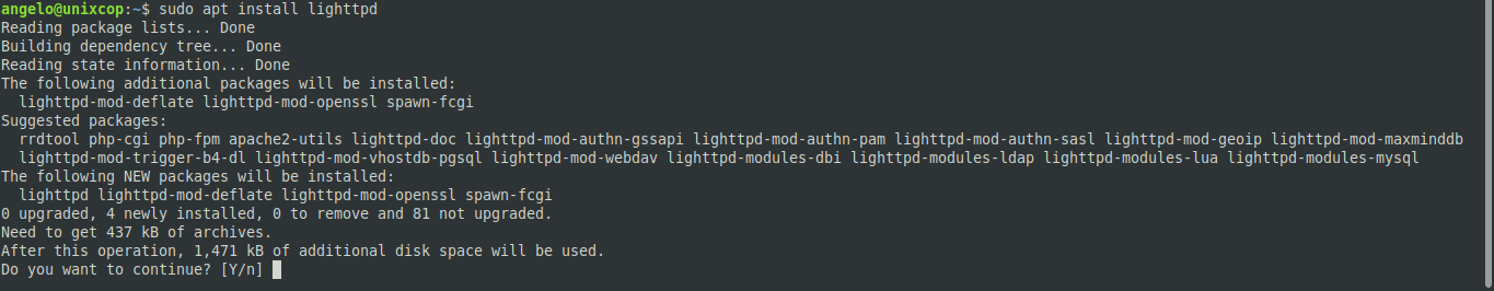 Installing Lighttpd on Ubuntu 22.04