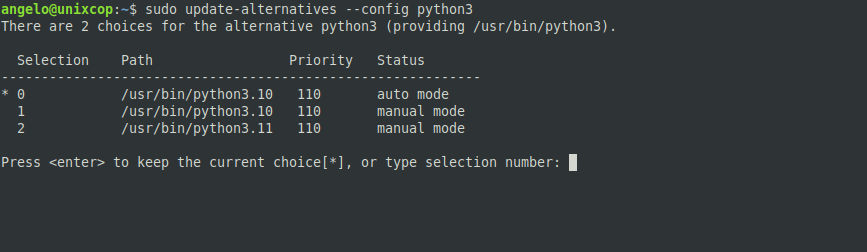 Python 3.11 on UBuntu