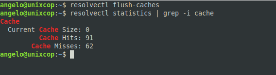 Flush the local DNS Cache