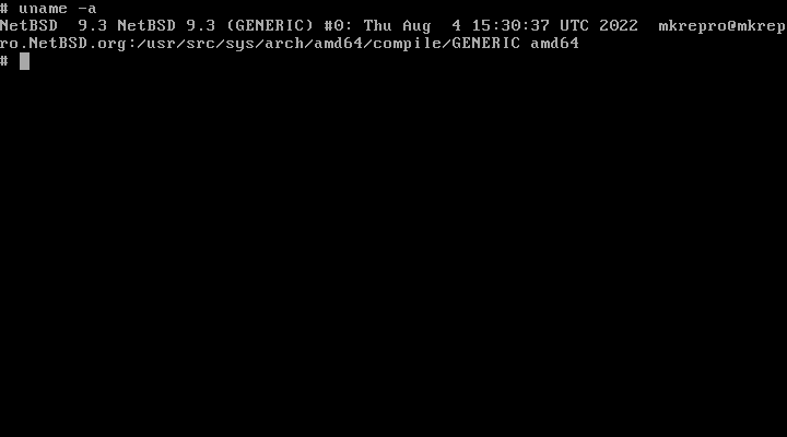 NetBSD installed properly