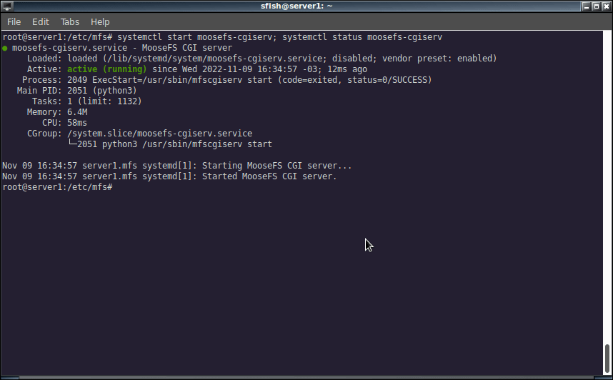 starting mfs cgi server