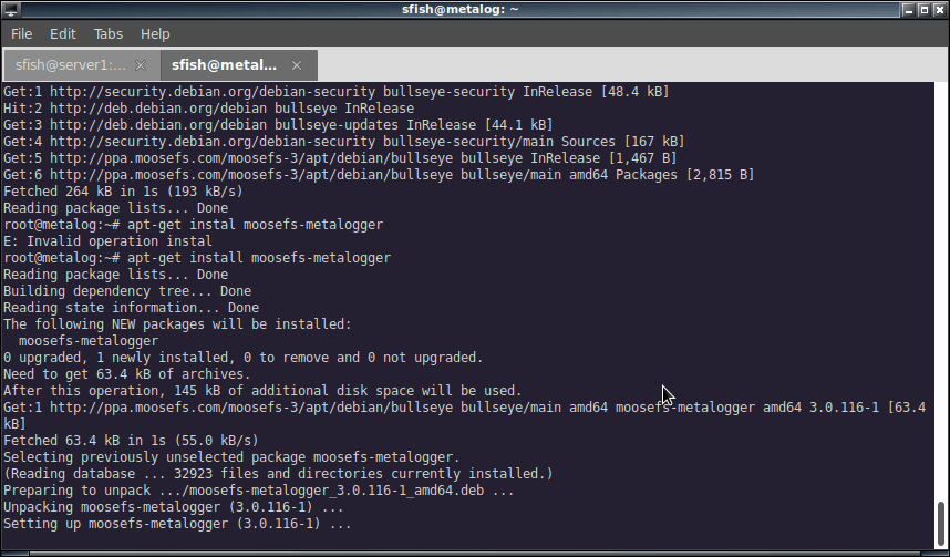 working with moosefs. installing  metalogger service