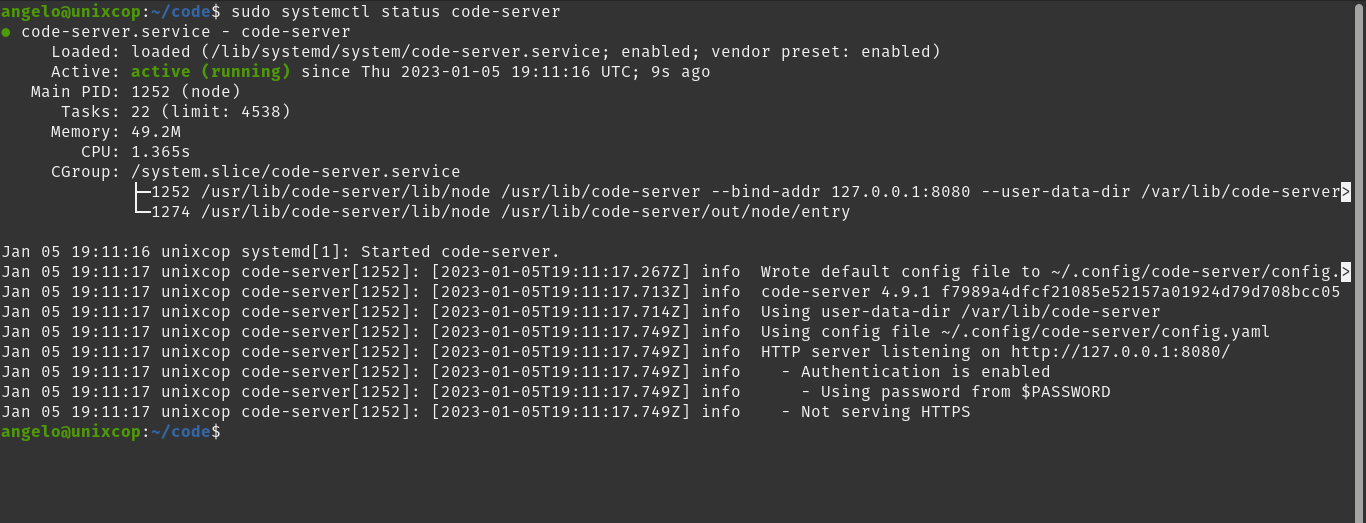Code Server Service status