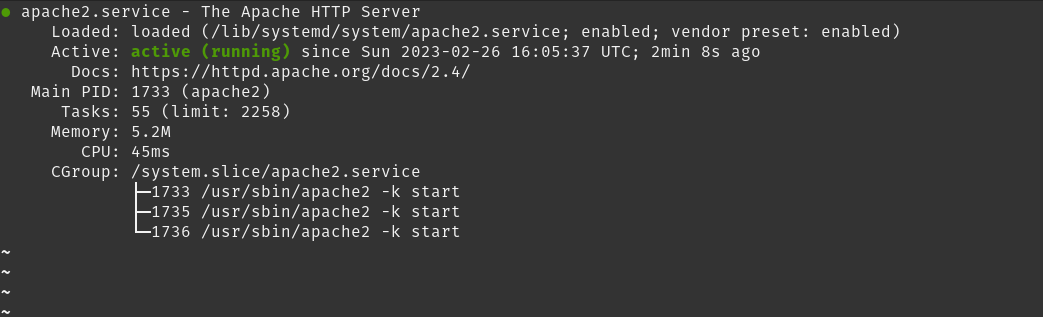 Apache web server status