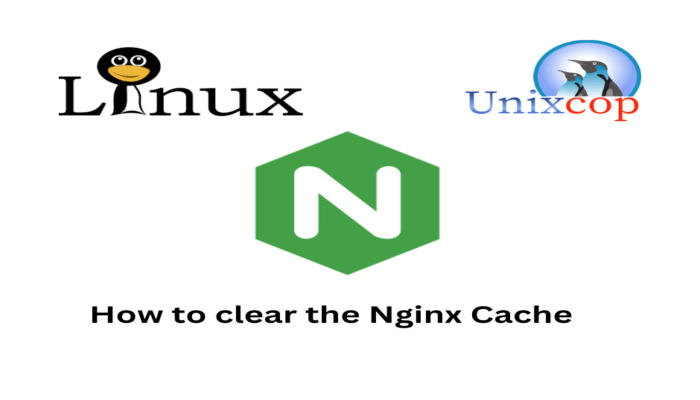 Clear Nginx Cache