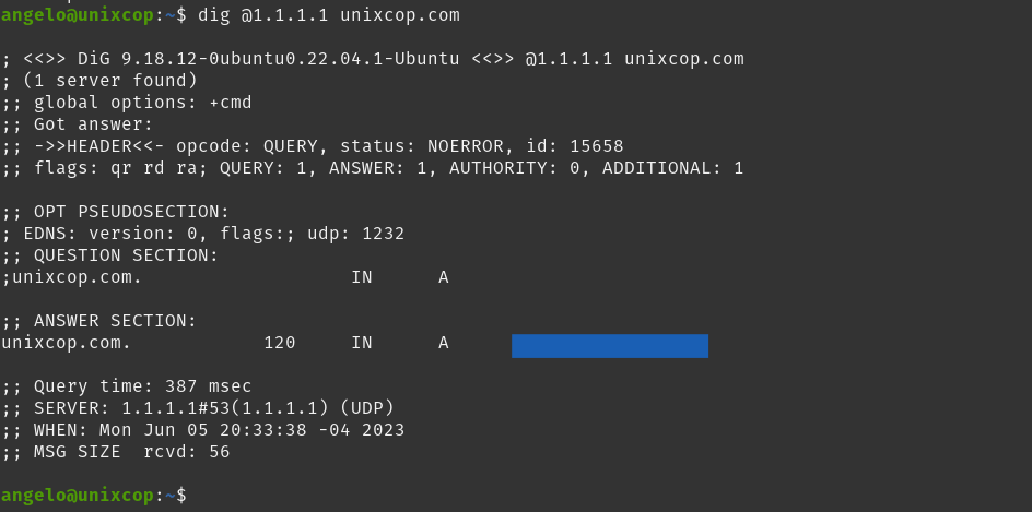 More options from dig command