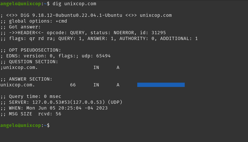 Using dig command on Linux